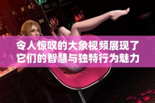 令人惊叹的大象视频展现了它们的智慧与独特行为魅力