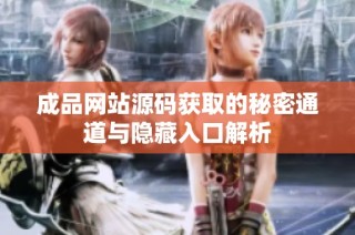 成品网站源码获取的秘密通道与隐藏入口解析
