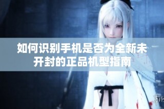 如何识别手机是否为全新未开封的正品机型指南
