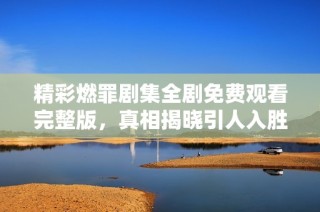 精彩燃罪剧集全剧免费观看完整版，真相揭晓引人入胜！