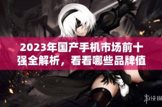 2023年国产手机市场前十强全解析，看看哪些品牌值得关注