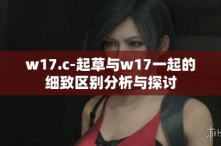 w17.c-起草与w17一起的细致区别分析与探讨