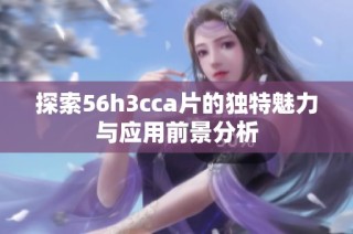 探索56h3cca片的独特魅力与应用前景分析