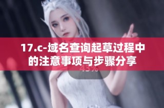 17.c-域名查询起草过程中的注意事项与步骤分享