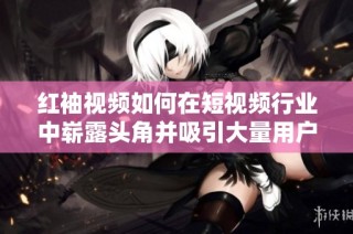 红袖视频如何在短视频行业中崭露头角并吸引大量用户