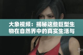 大象视频：揭秘这些巨型生物在自然界中的真实生活与习性