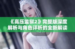 《高压监狱2》完整版深度解析与角色评析的全新解读与感悟