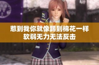 惹到我你就像踢到棉花一样软弱无力无法反击