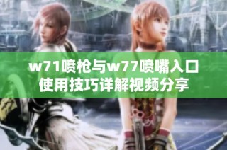 w71喷枪与w77喷嘴入口使用技巧详解视频分享