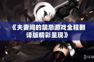 《夫妻间的禁忌游戏全程翻译版精彩呈现》