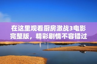 在这里观看厨房激战3电影完整版，精彩剧情不容错过！