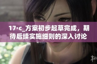 17·c_方案初步起草完成，期待后续实施细则的深入讨论与完善