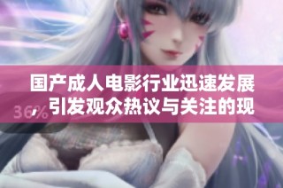 国产成人电影行业迅速发展，引发观众热议与关注的现象分析