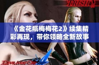 《金花瓶梅梅花2》续集精彩再现，带你领略全新故事魅力