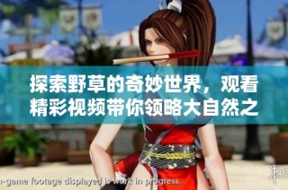 探索野草的奇妙世界，观看精彩视频带你领略大自然之美