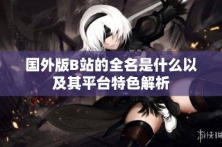 国外版B站的全名是什么以及其平台特色解析