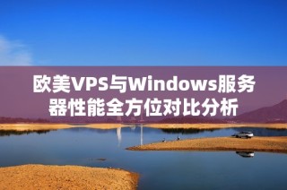 欧美VPS与Windows服务器性能全方位对比分析
