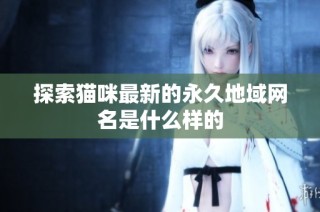 探索猫咪最新的永久地域网名是什么样的