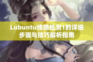 Lubuntu线路检测1的详细步骤与技巧解析指南