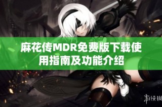 麻花传MDR免费版下载使用指南及功能介绍