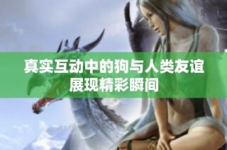 真实互动中的狗与人类友谊展现精彩瞬间