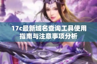 17c最新域名查询工具使用指南与注意事项分析