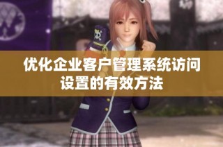 优化企业客户管理系统访问设置的有效方法