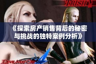 《探索房产销售背后的秘密与挑战的独特案例分析》