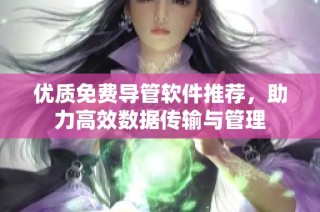优质免费导管软件推荐，助力高效数据传输与管理