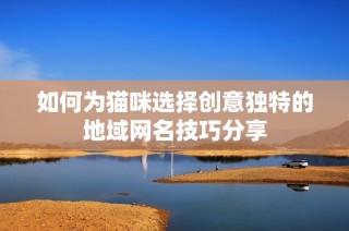 如何为猫咪选择创意独特的地域网名技巧分享