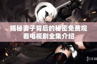 揭秘妻子背后的秘密免费观看电视剧全集介绍