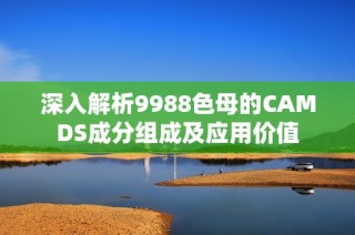 深入解析9988色母的CAMDS成分组成及应用价值
