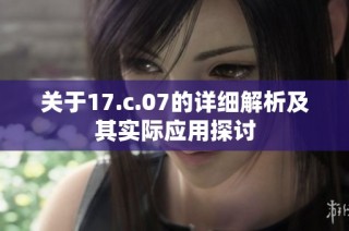 关于17.c.07的详细解析及其实际应用探讨