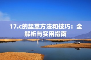 17.c的起草方法和技巧：全解析与实用指南