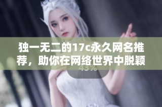 独一无二的17c永久网名推荐，助你在网络世界中脱颖而出