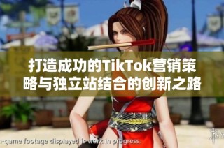 打造成功的TikTok营销策略与独立站结合的创新之路