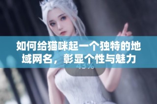 如何给猫咪起一个独特的地域网名，彰显个性与魅力