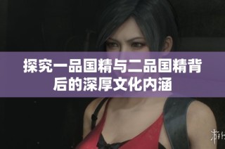探究一品国精与二品国精背后的深厚文化内涵