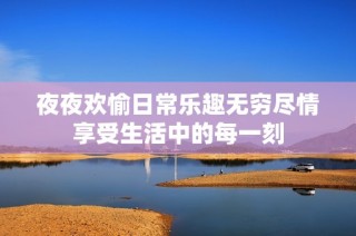 夜夜欢愉日常乐趣无穷尽情享受生活中的每一刻