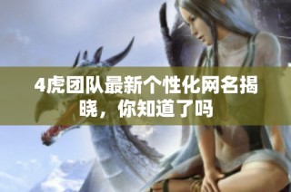 4虎团队最新个性化网名揭晓，你知道了吗