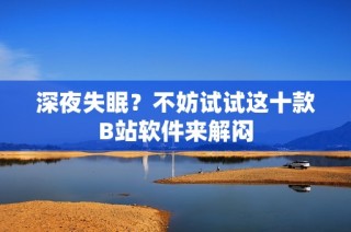 深夜失眠？不妨试试这十款B站软件来解闷