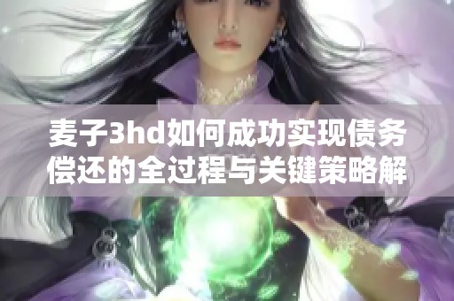 麦子3hd如何成功实现债务偿还的全过程与关键策略解析