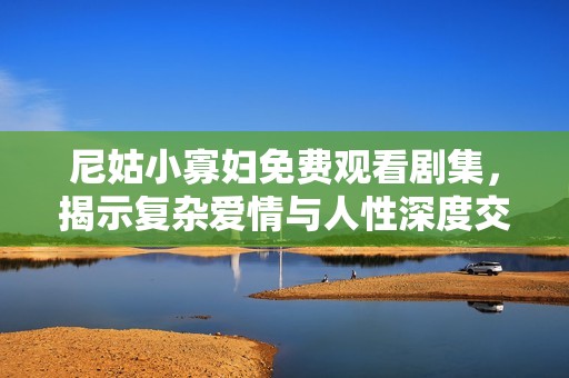 尼姑小寡妇免费观看剧集，揭示复杂爱情与人性深度交织的故事
