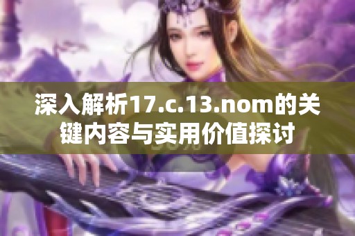 深入解析17.c.13.nom的关键内容与实用价值探讨
