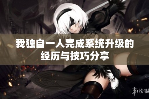 我独自一人完成系统升级的经历与技巧分享