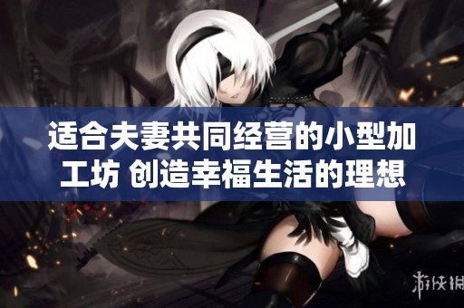 适合夫妻共同经营的小型加工坊 创造幸福生活的理想选择
