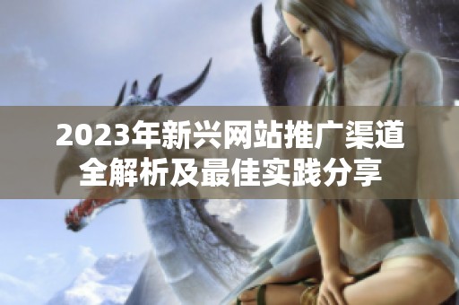 2023年新兴网站推广渠道全解析及最佳实践分享