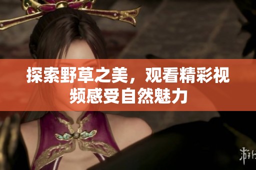 探索野草之美，观看精彩视频感受自然魅力