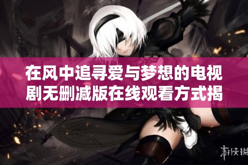 在风中追寻爱与梦想的电视剧无删减版在线观看方式揭秘   