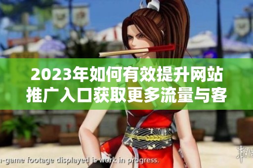 2023年如何有效提升网站推广入口获取更多流量与客户